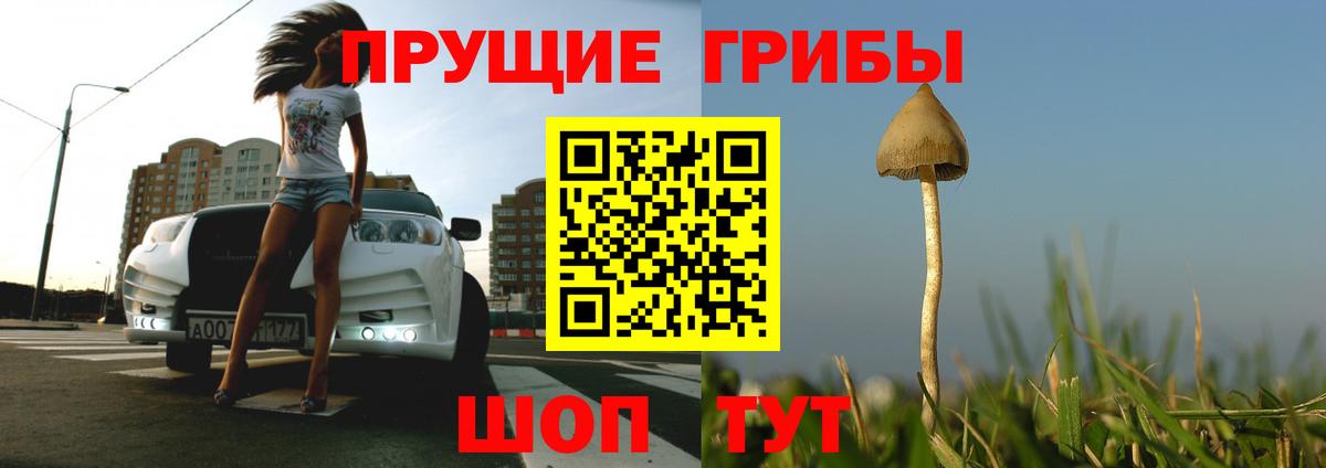 Златоуст  Псилоцибиновые грибы мухоморы  Вход с VPN 